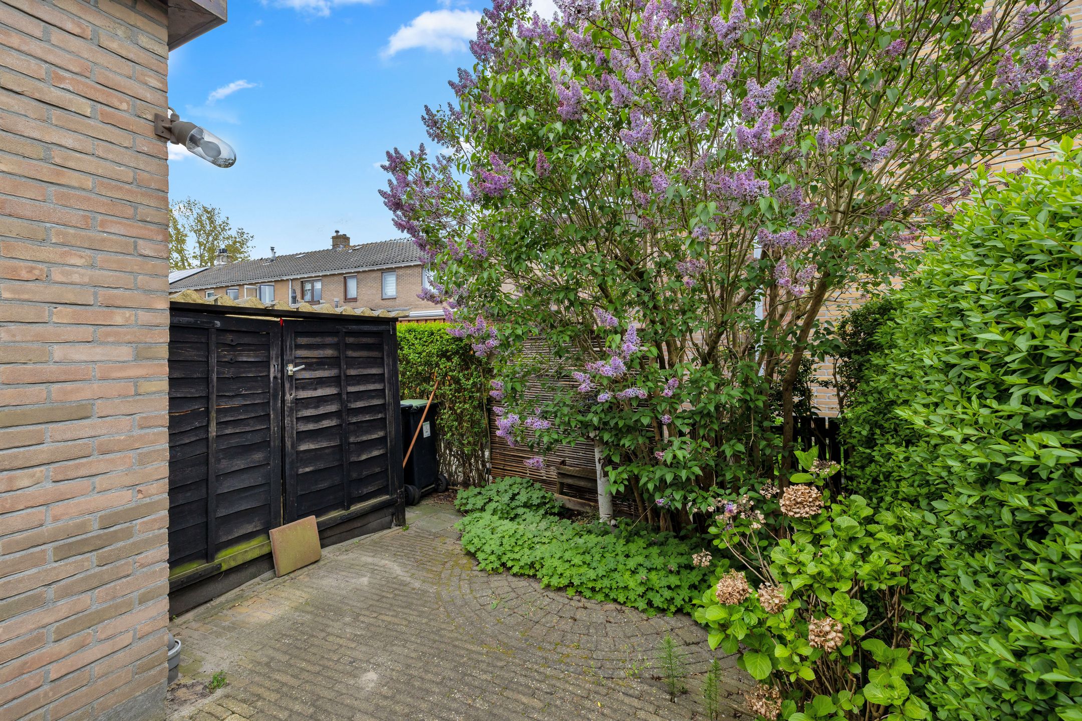 Foto 18 van Ribeslaan 6