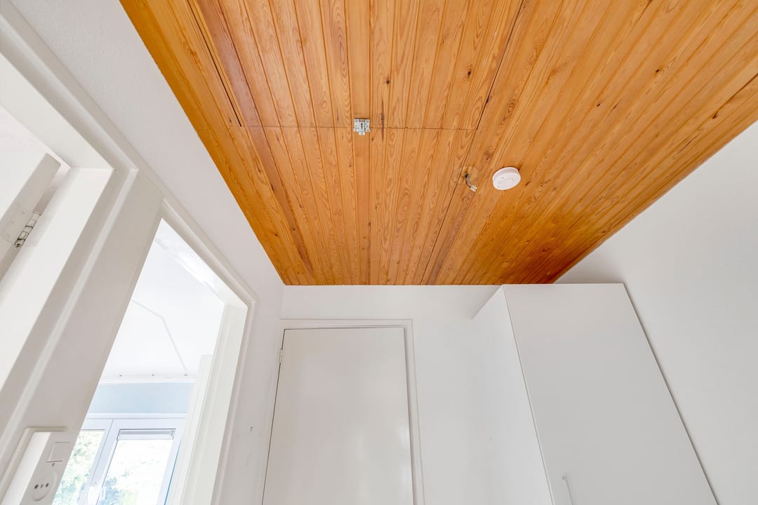 Foto 32 van Ribeslaan 6