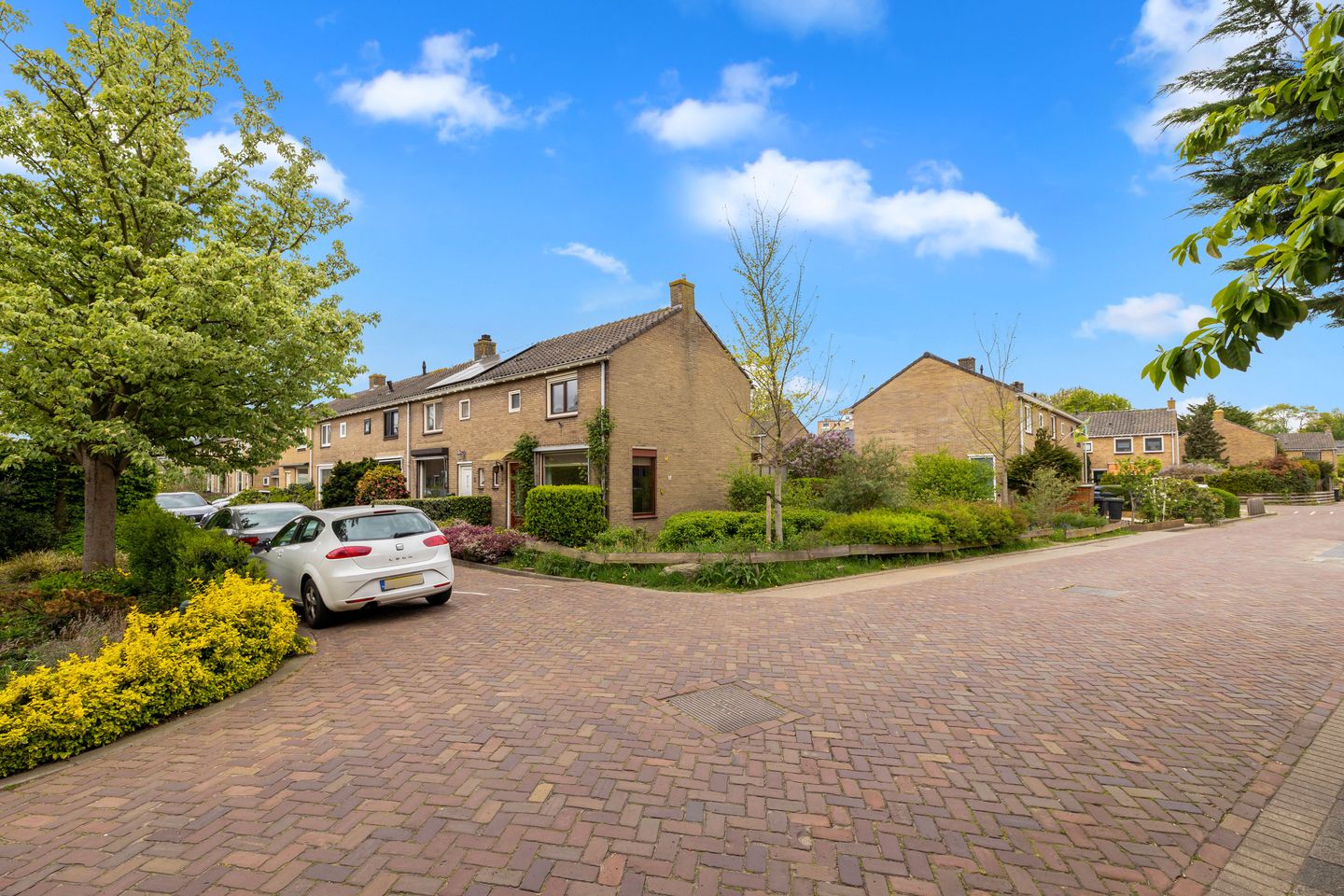 Foto 35 van Ribeslaan 6