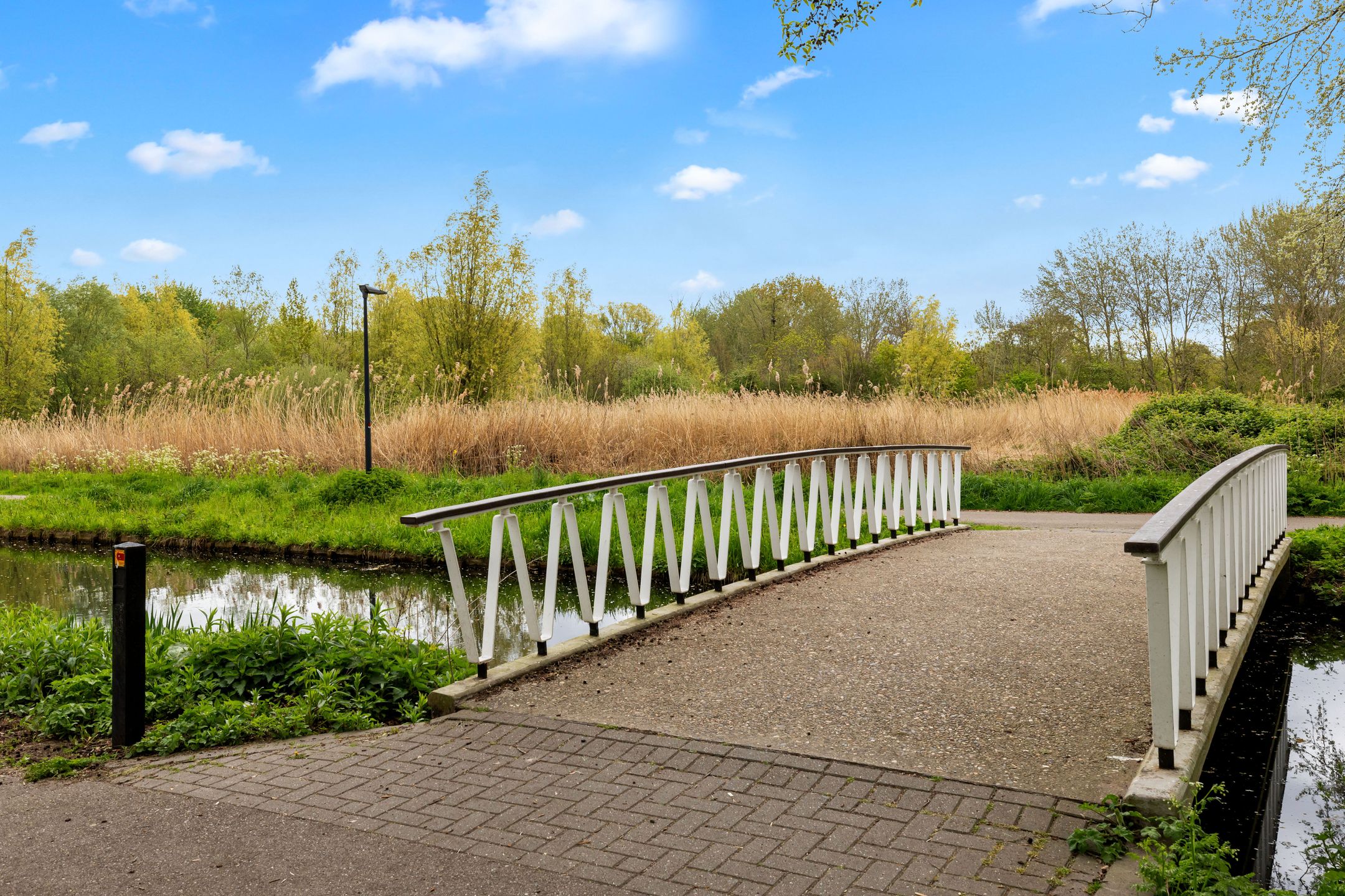 Foto 36 van Ribeslaan 6