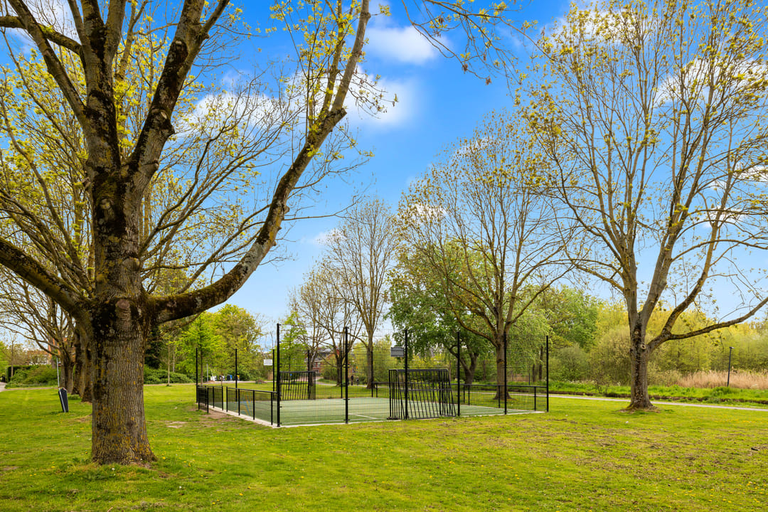 Foto 37 van Ribeslaan 6