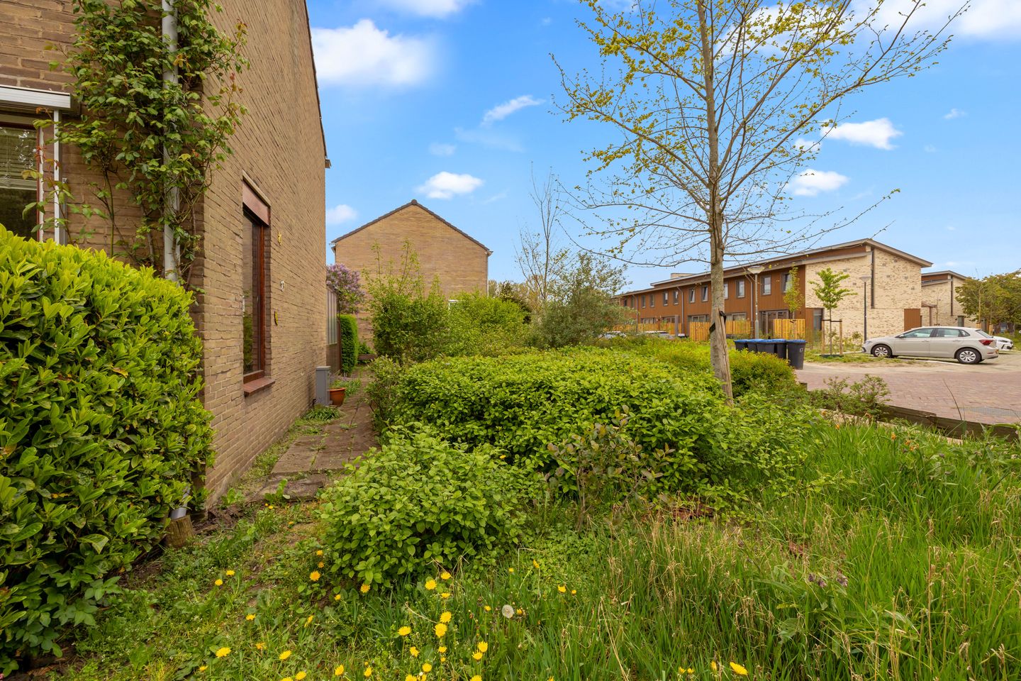 Foto 34 van Ribeslaan 6