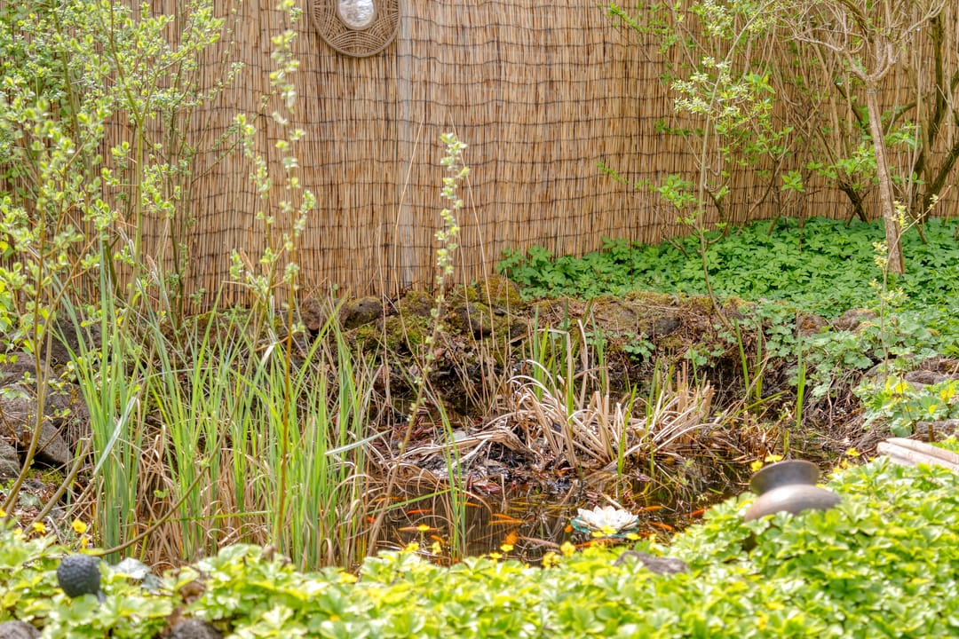 Foto 46 van Holterweg 26-A