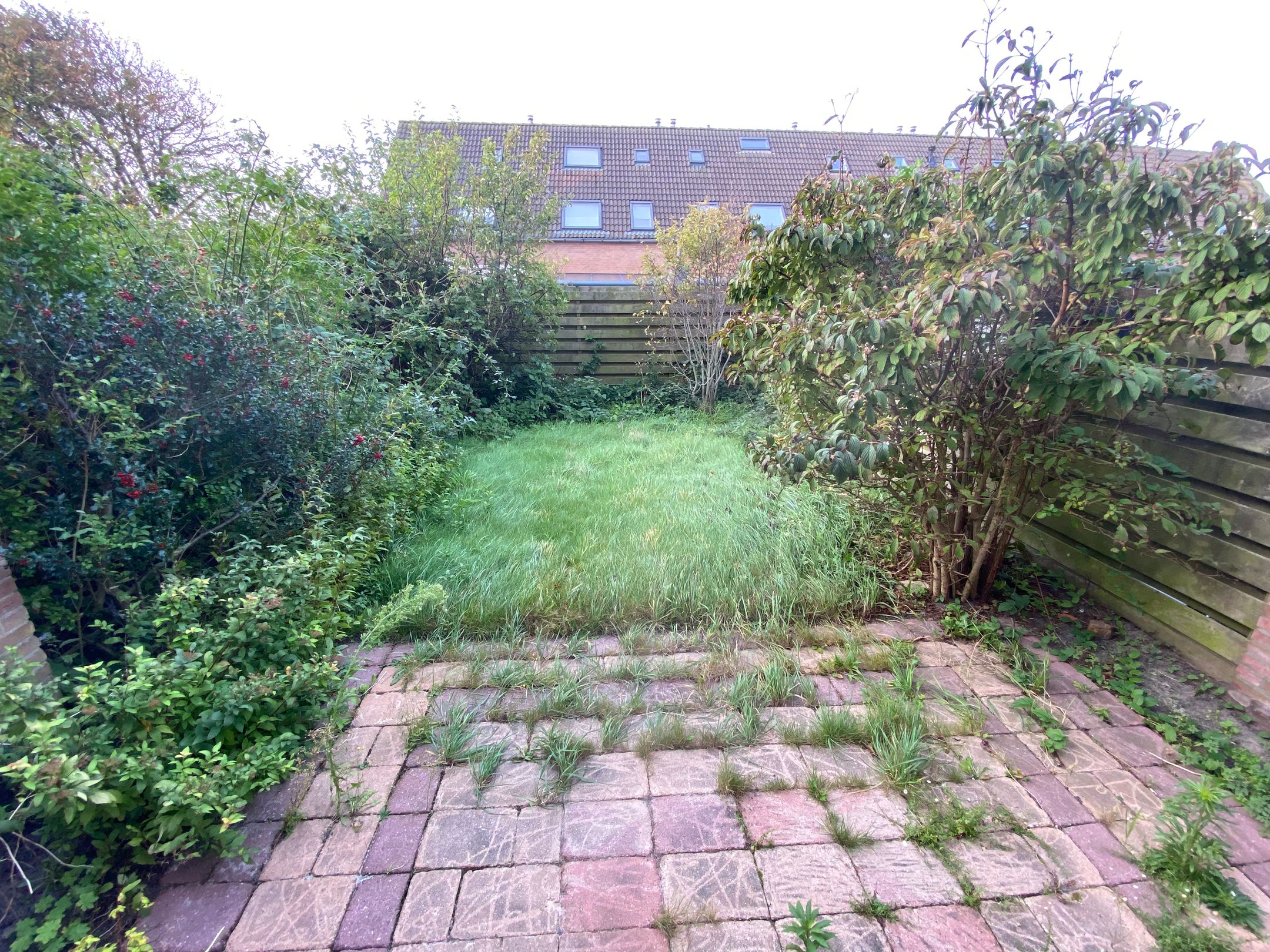 Foto 6 van Wierbalg 1193