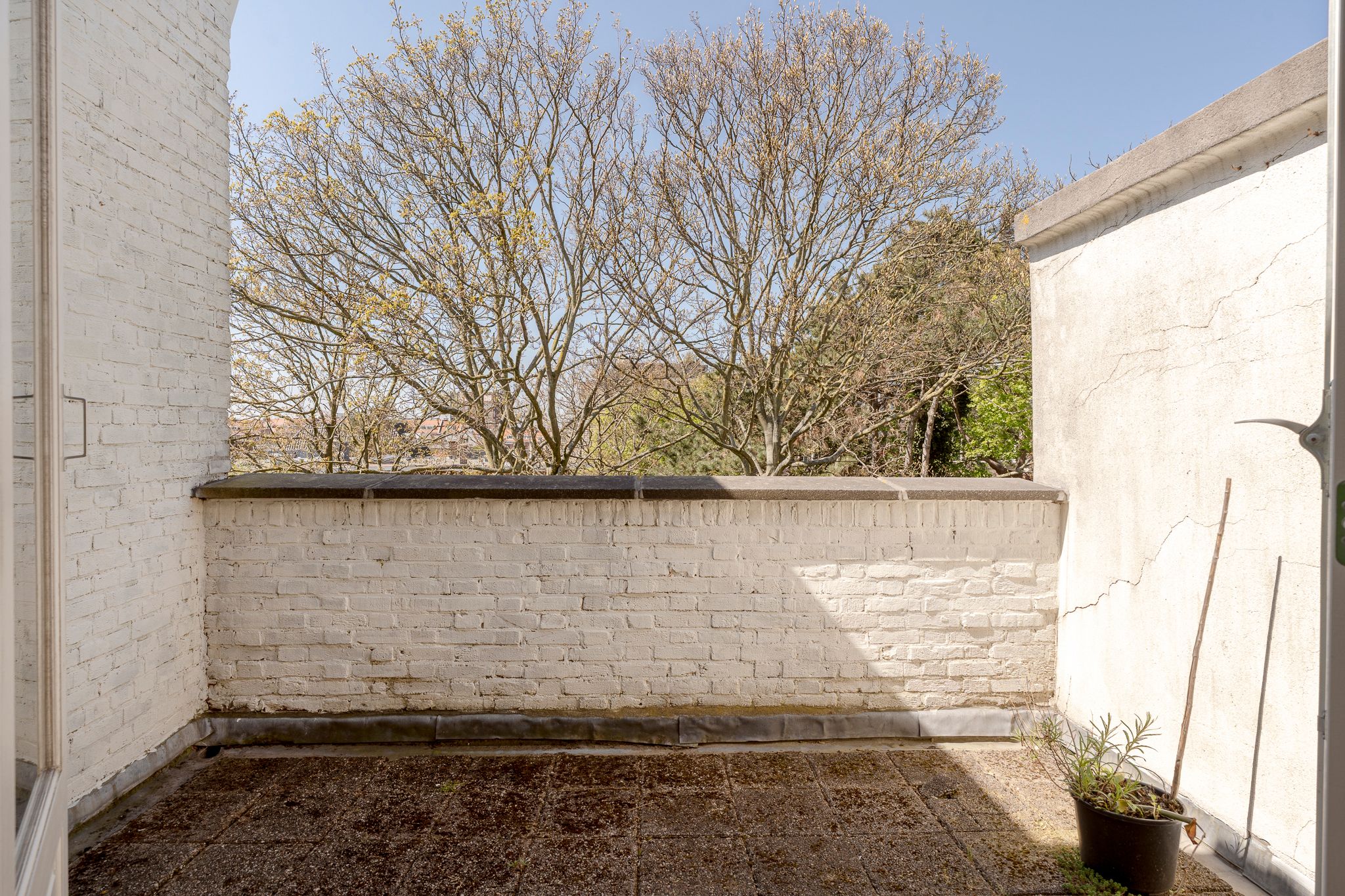 Foto 51 van Frankenstraat 41