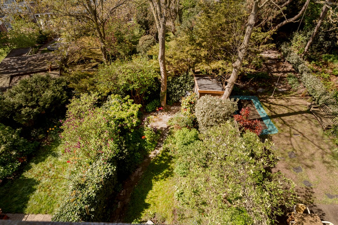 Foto 52 van Frankenstraat 41