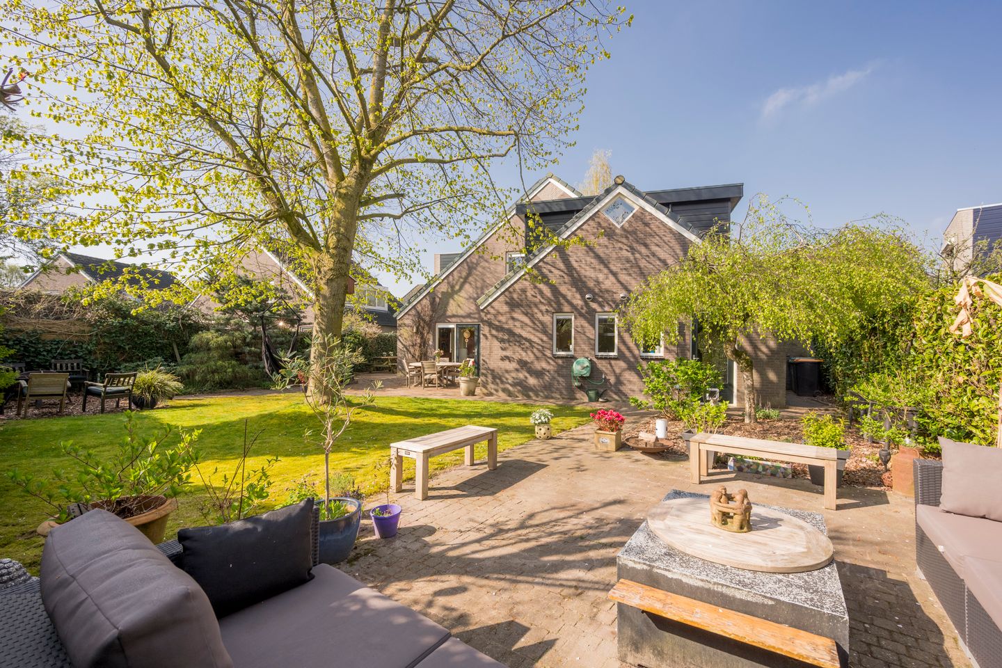 Foto 49 van Boterbloem 25