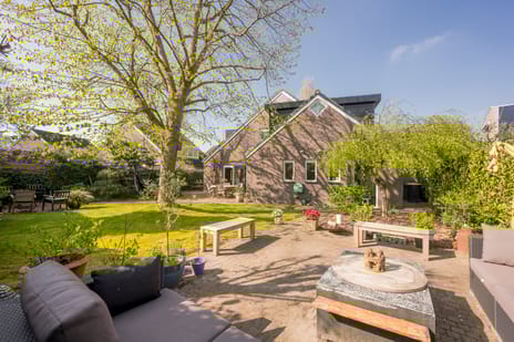 Boterbloem 25 tertiary image