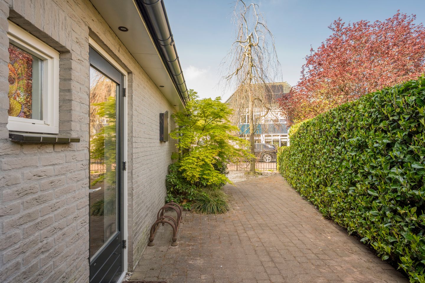 Foto 50 van Boterbloem 25