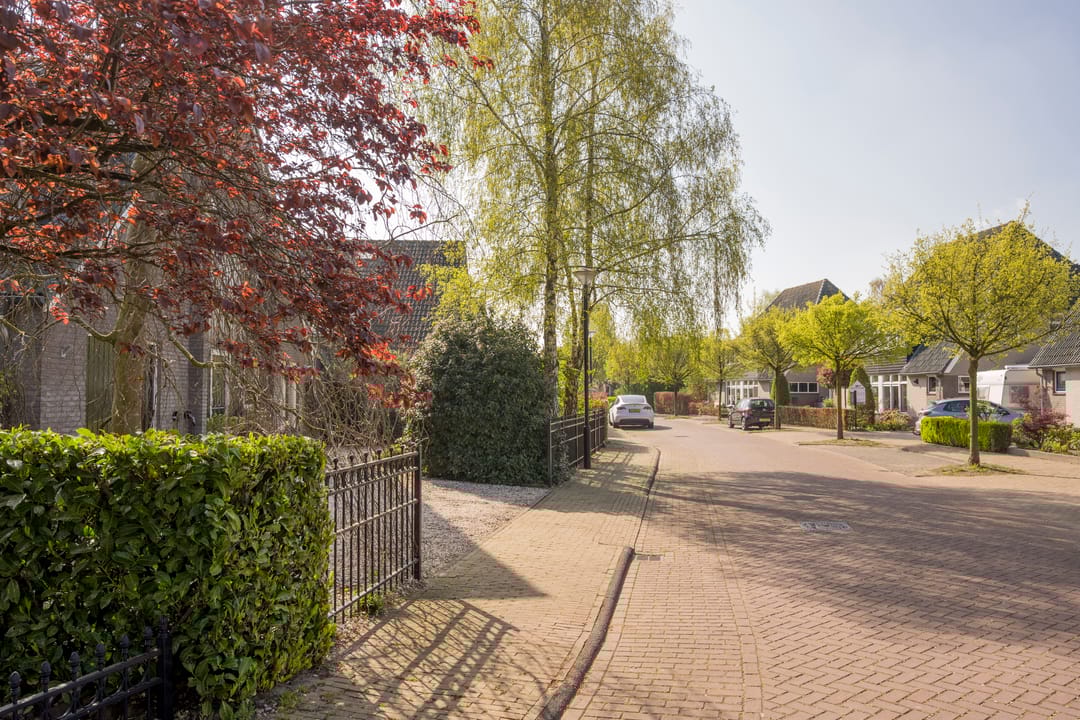 Foto 58 van Boterbloem 25