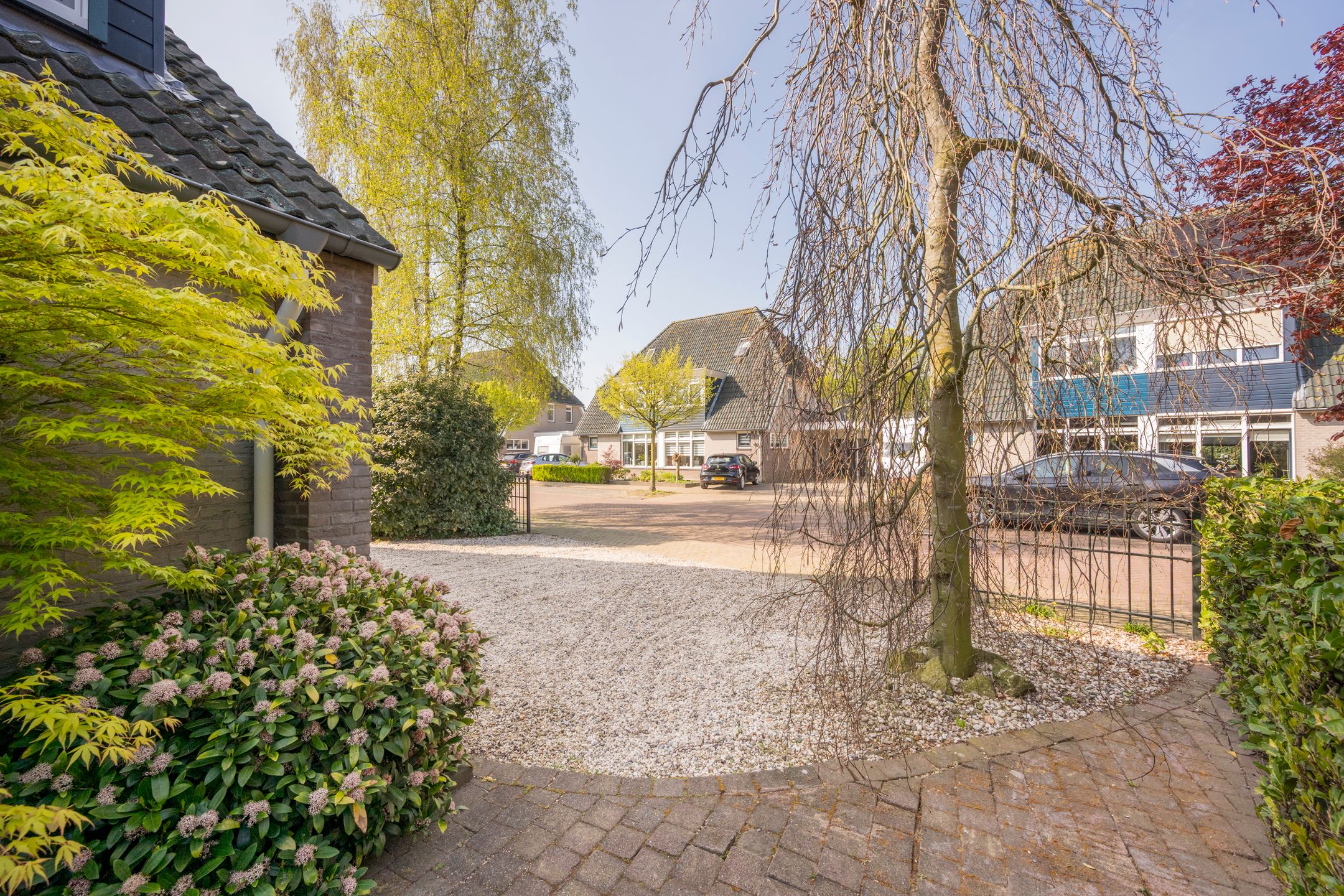 Foto 57 van Boterbloem 25