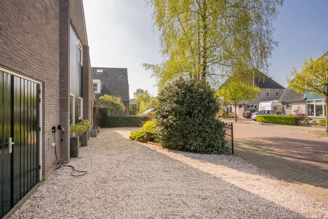 Photo 53 of Boterbloem 25