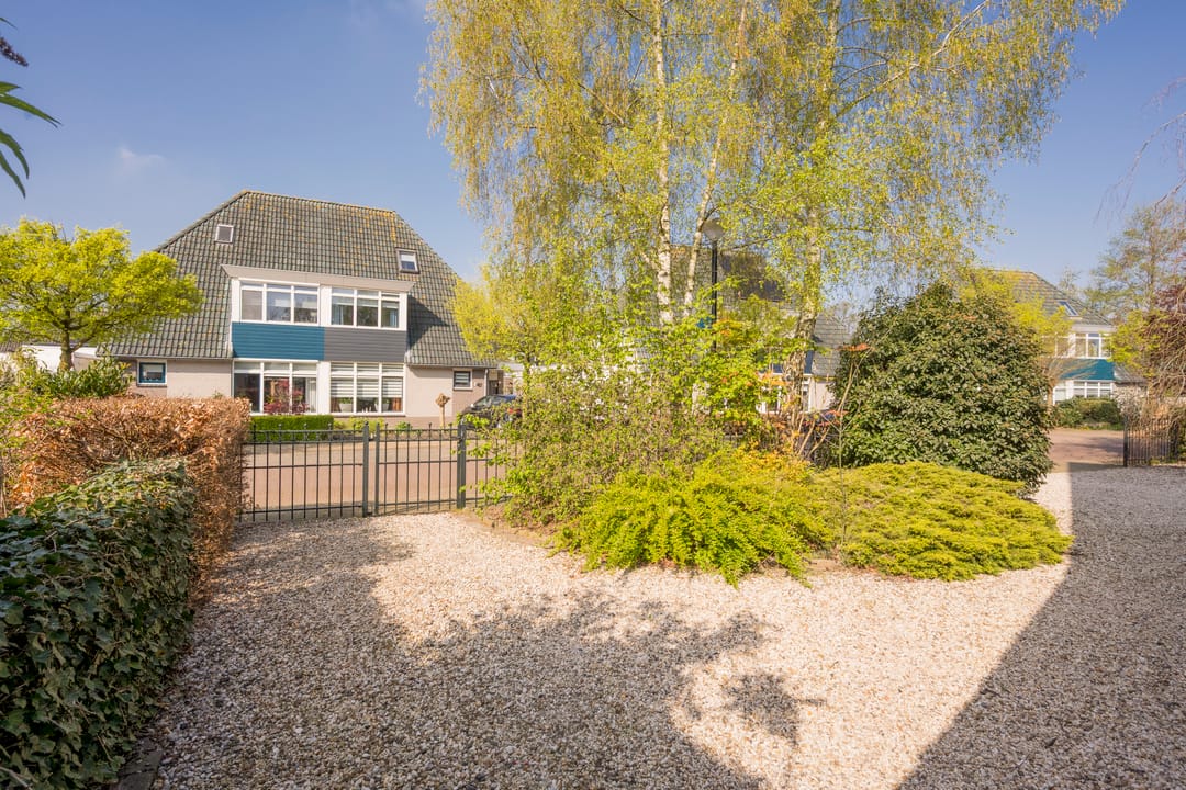 Foto 56 van Boterbloem 25