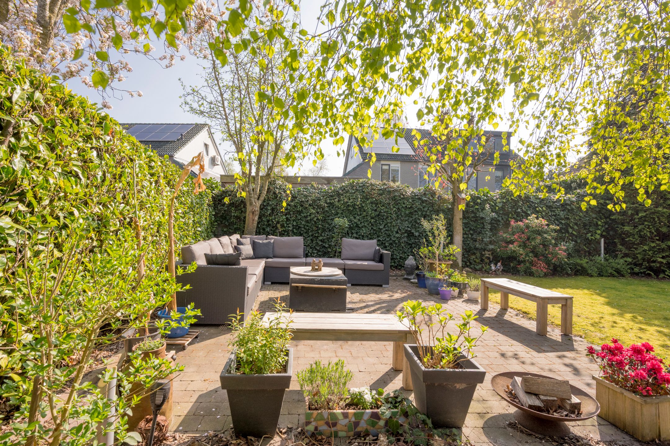 Foto 48 van Boterbloem 25