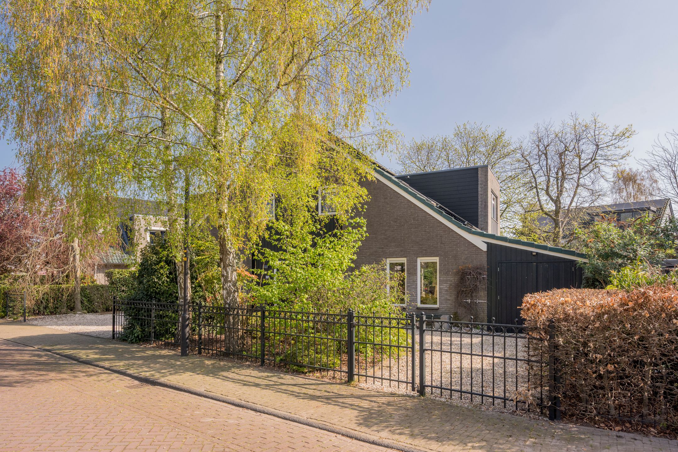 Foto 54 van Boterbloem 25