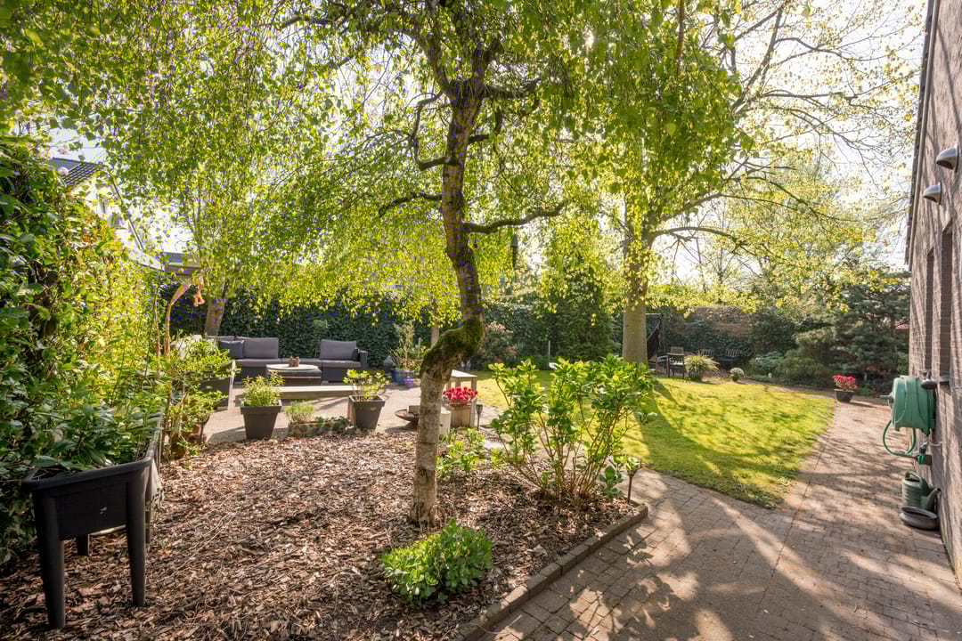 Foto 47 van Boterbloem 25