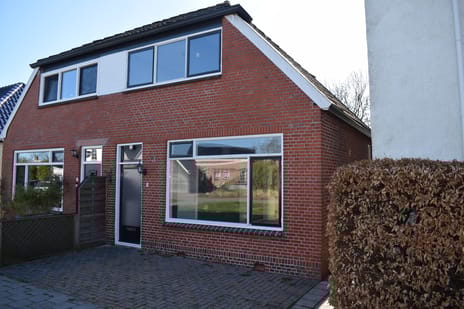 undefined main image