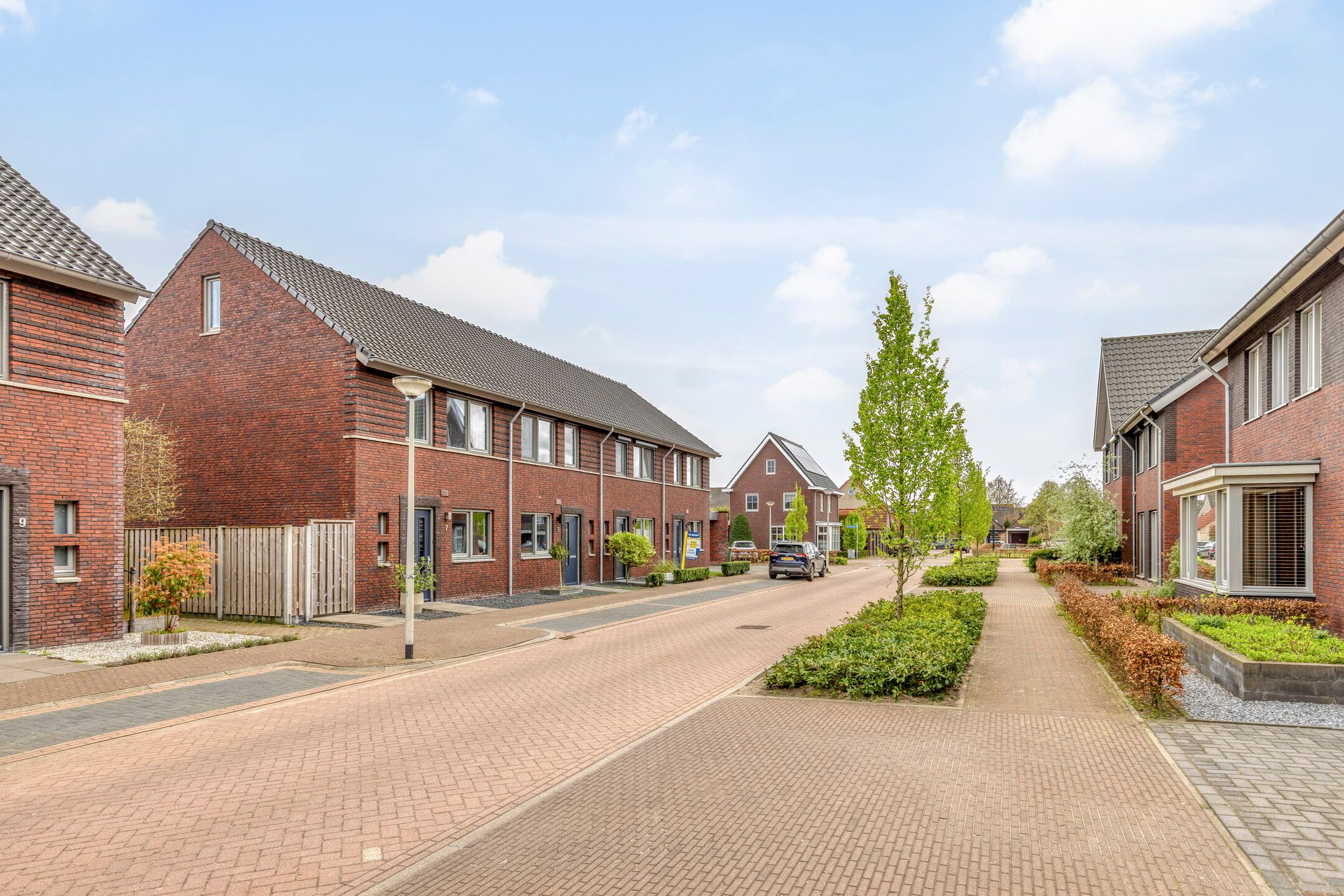 Photo 6 of Marjolein 7