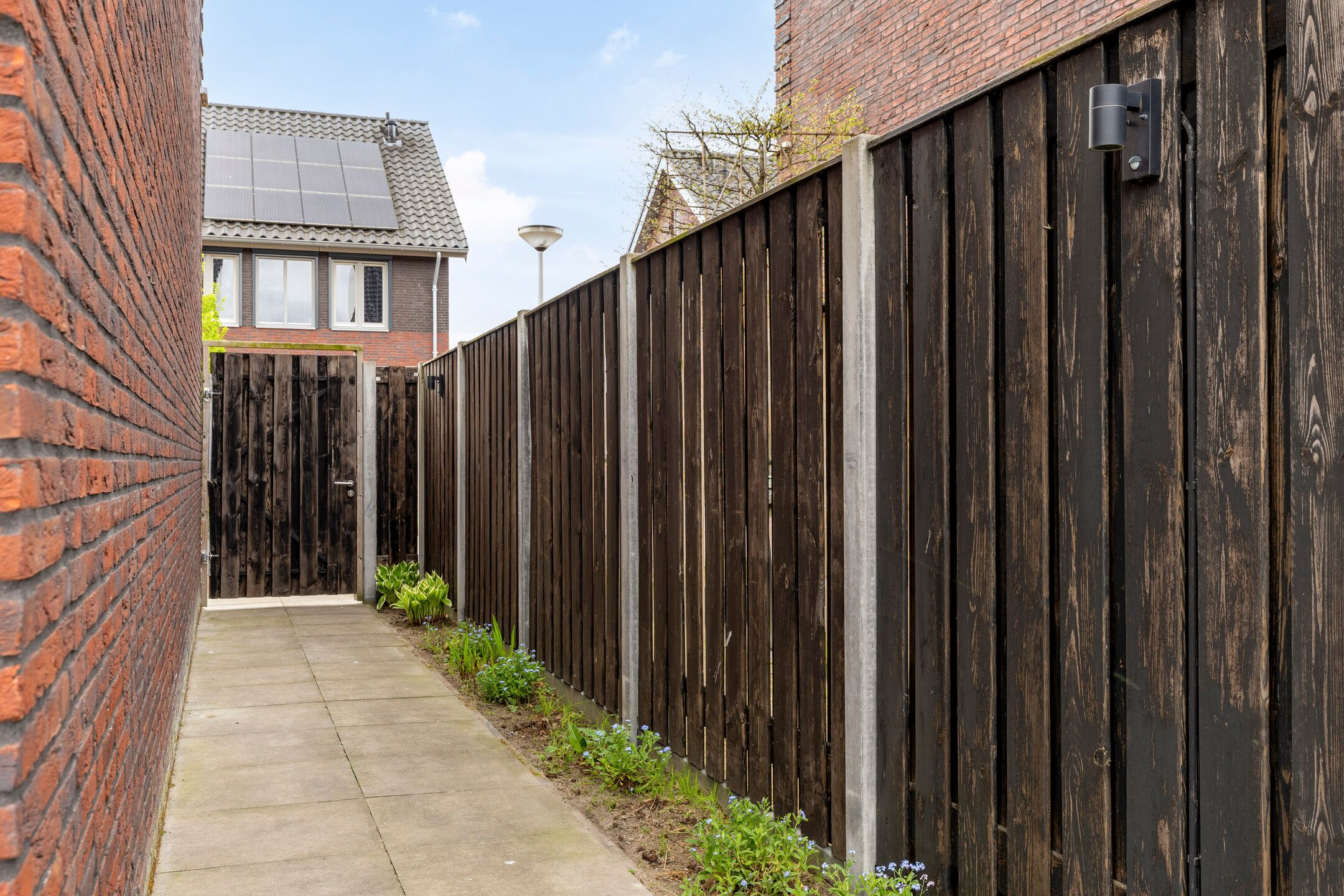 Photo 36 of Marjolein 7