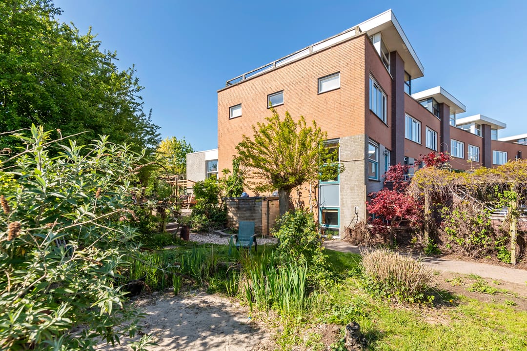 Foto 1 van Goudhaver 35