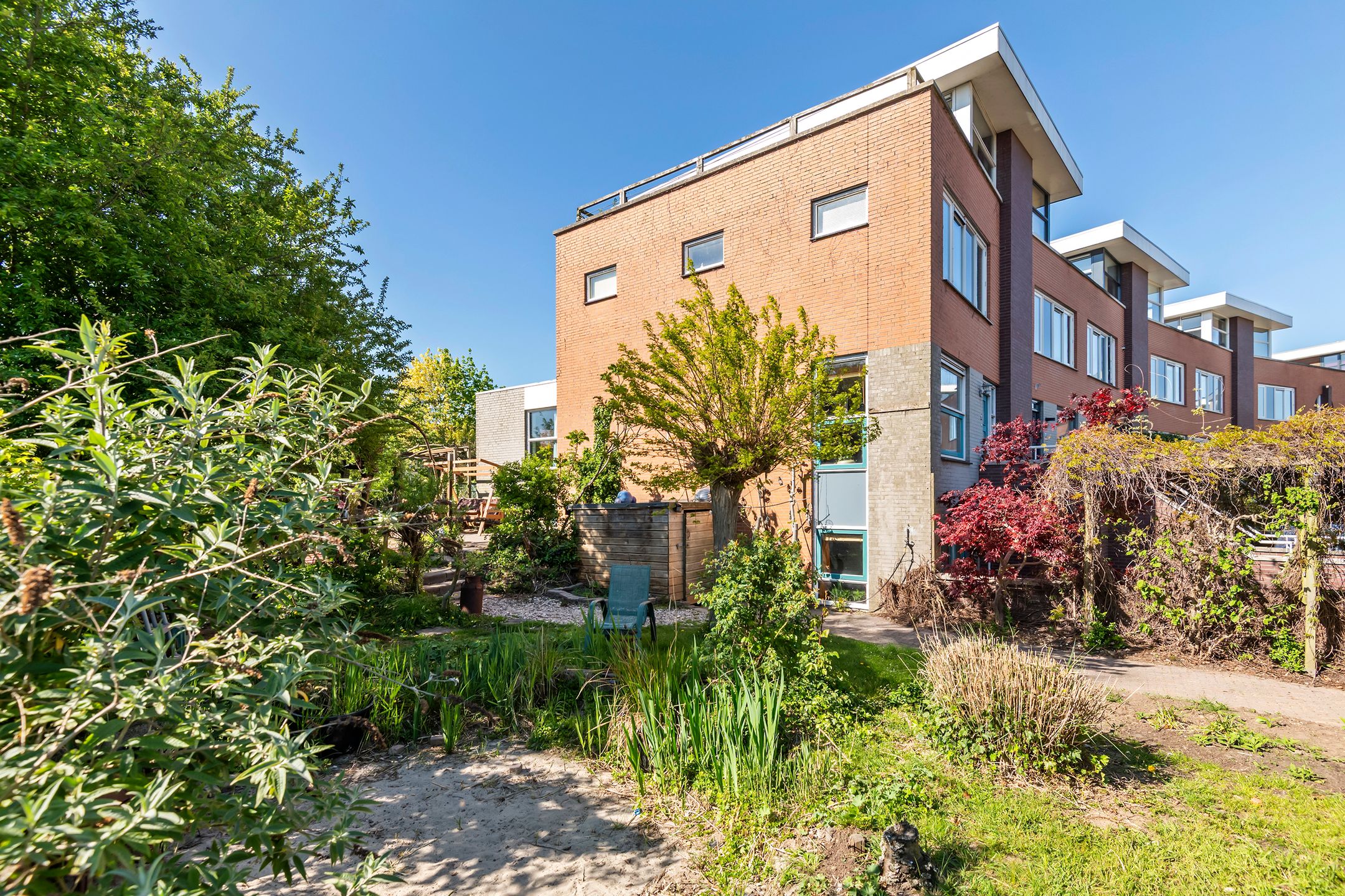 Goudhaver 35 