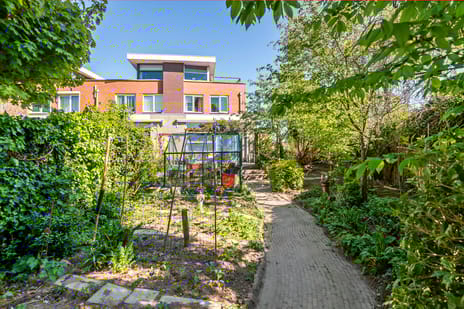 Goudhaver 35 secondary image