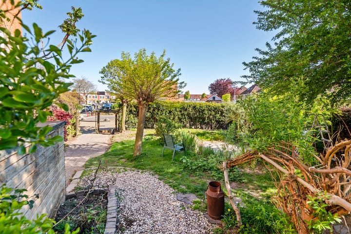 Foto 3 van Goudhaver 35