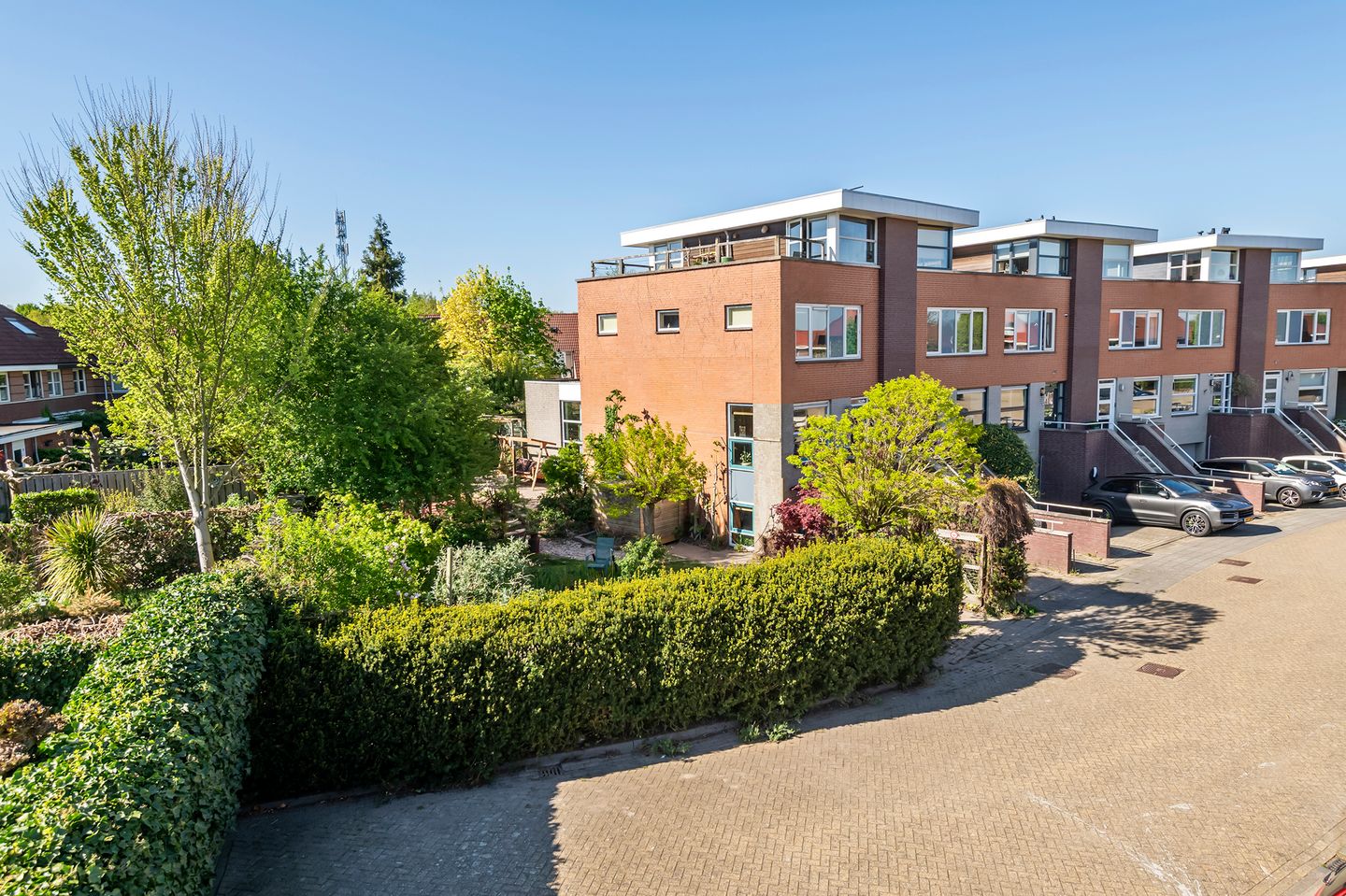 Foto 50 van Goudhaver 35