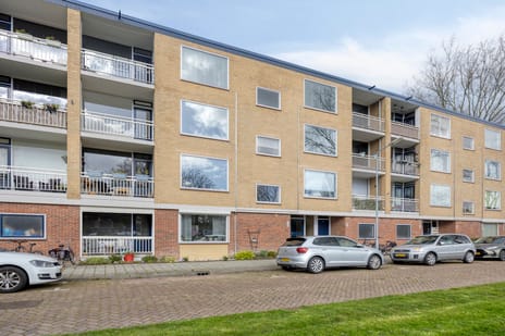 Statenlaan thumbnail