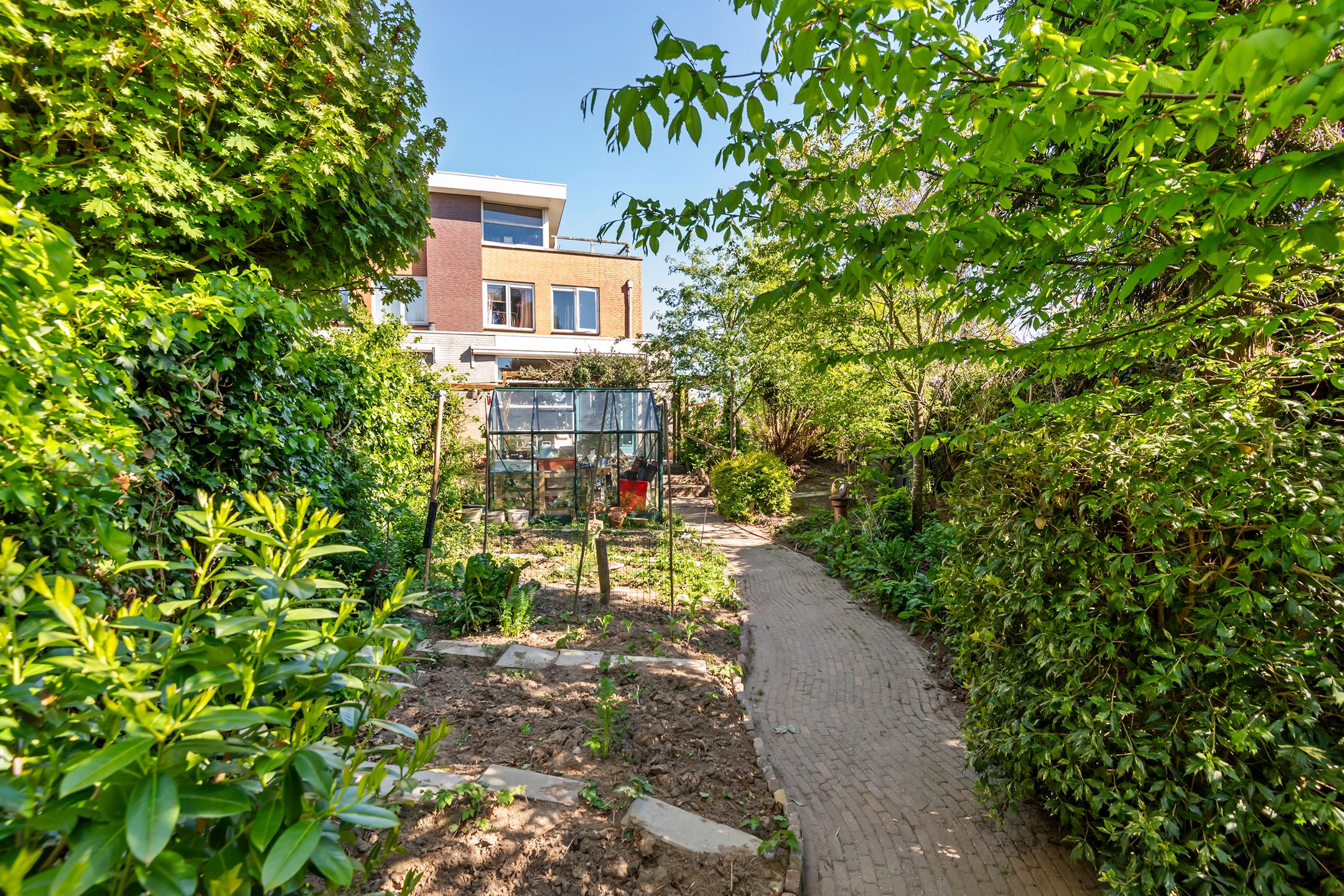 Foto 21 van Goudhaver 35