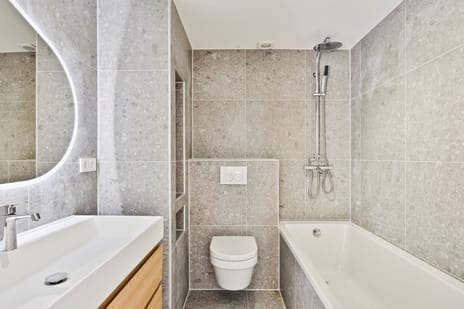 Dennekruid 212 tertiary image