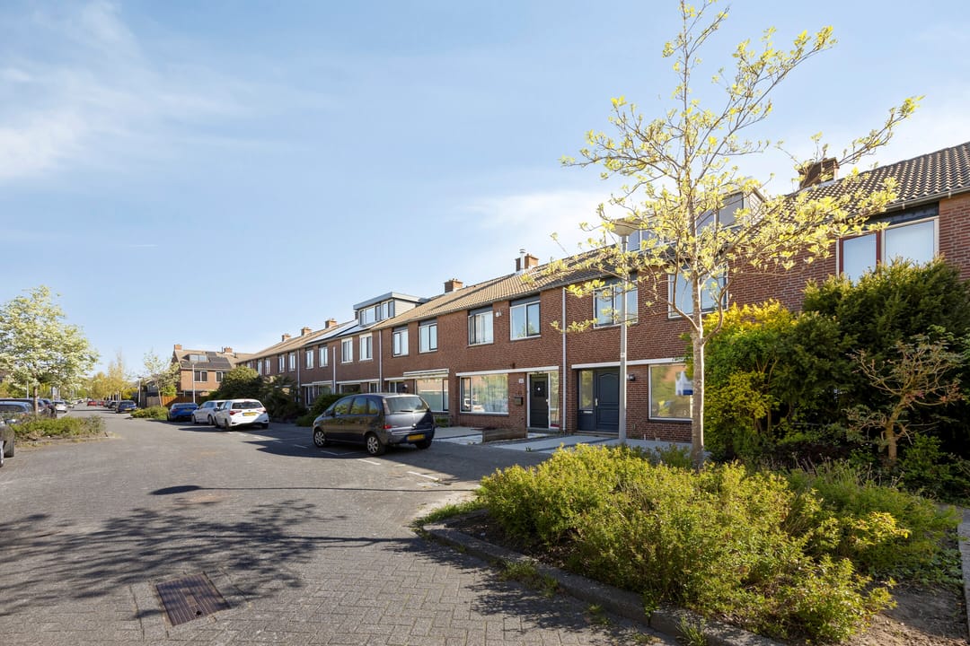 Foto 1 van Dennekruid 212