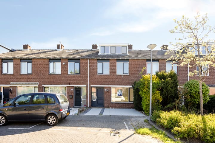 Foto 2 van Dennekruid 212