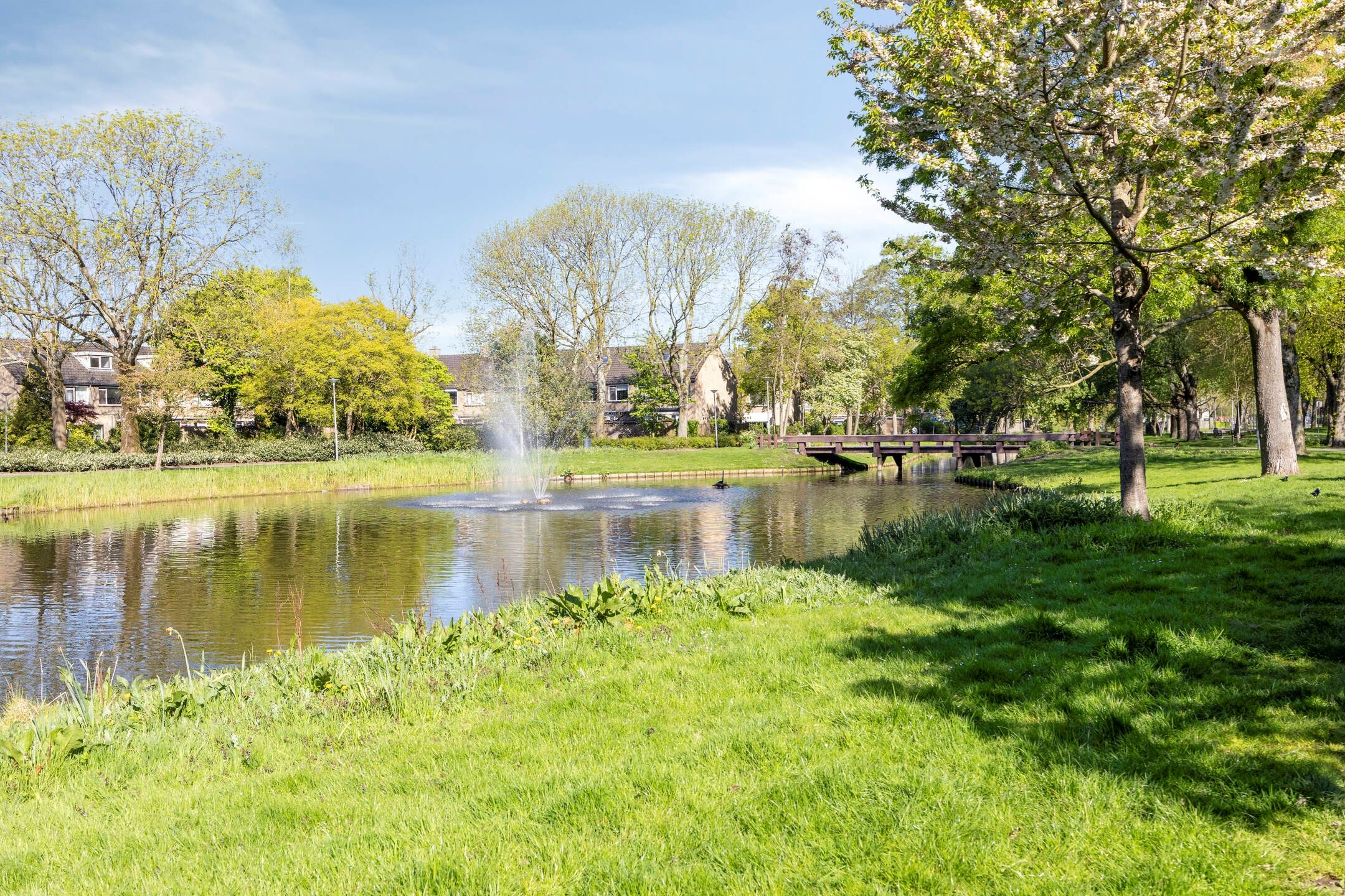 Foto 33 van Dennekruid 212