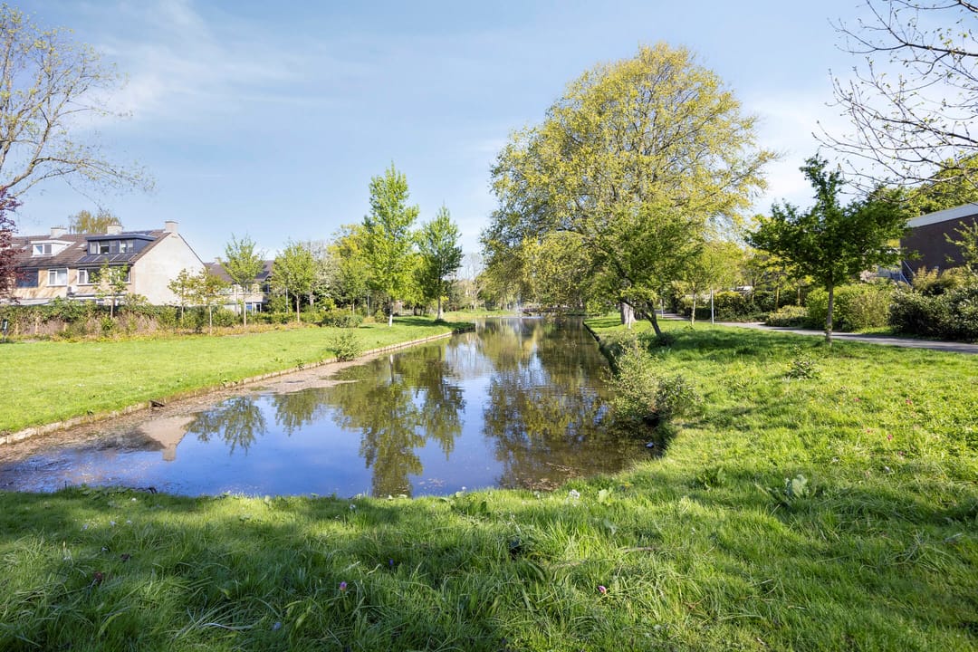 Foto 31 van Dennekruid 212