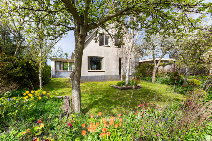 Foto 4 van De Watersnip 36