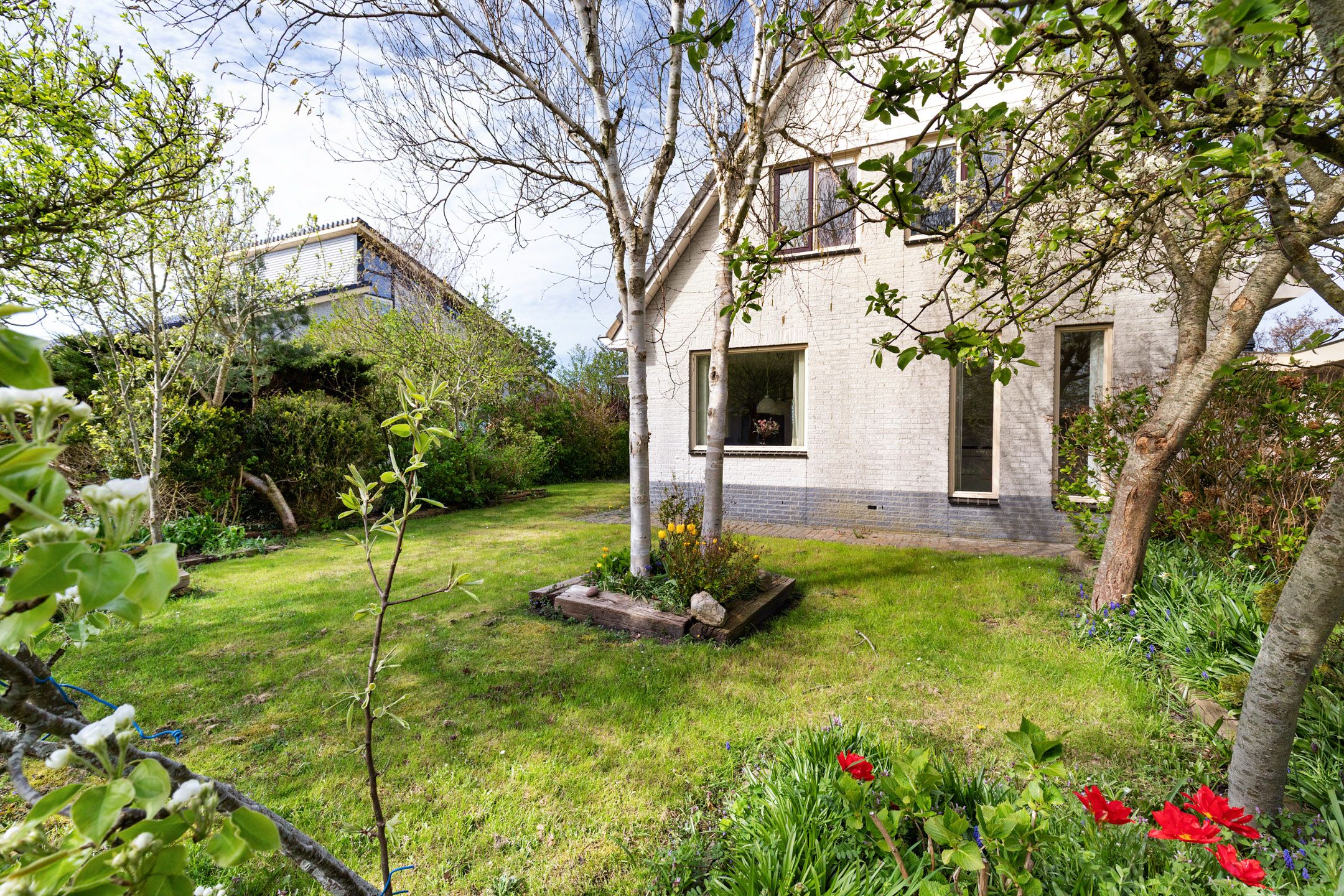 Foto 51 van De Watersnip 36