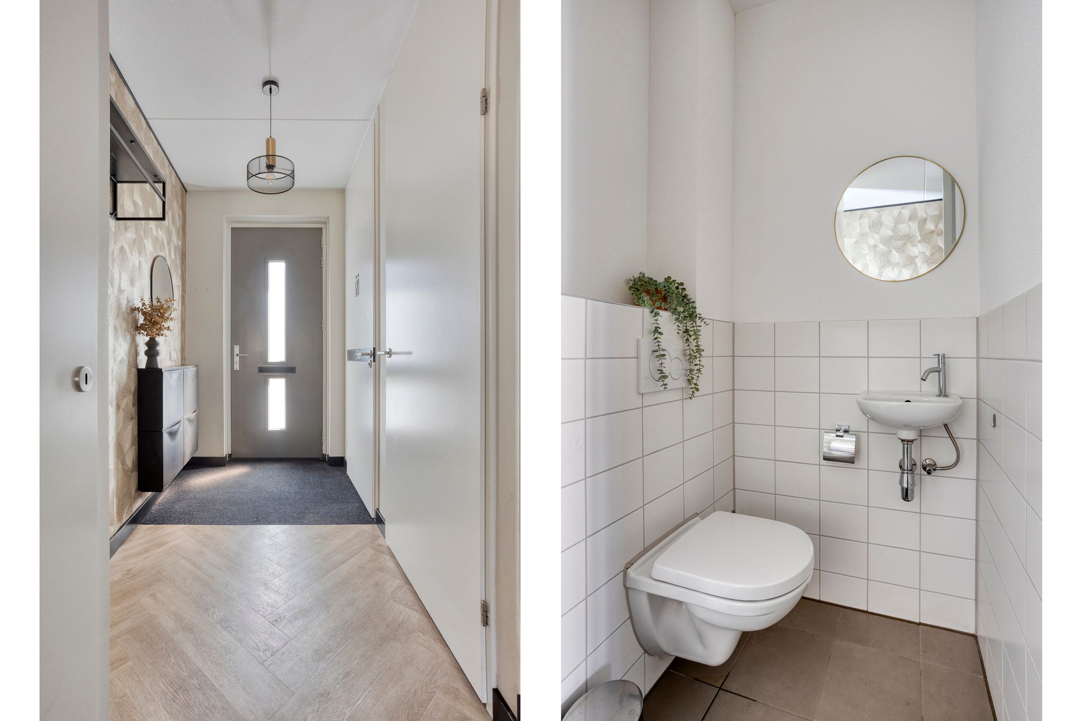 Foto 6 van Valeriaan 8