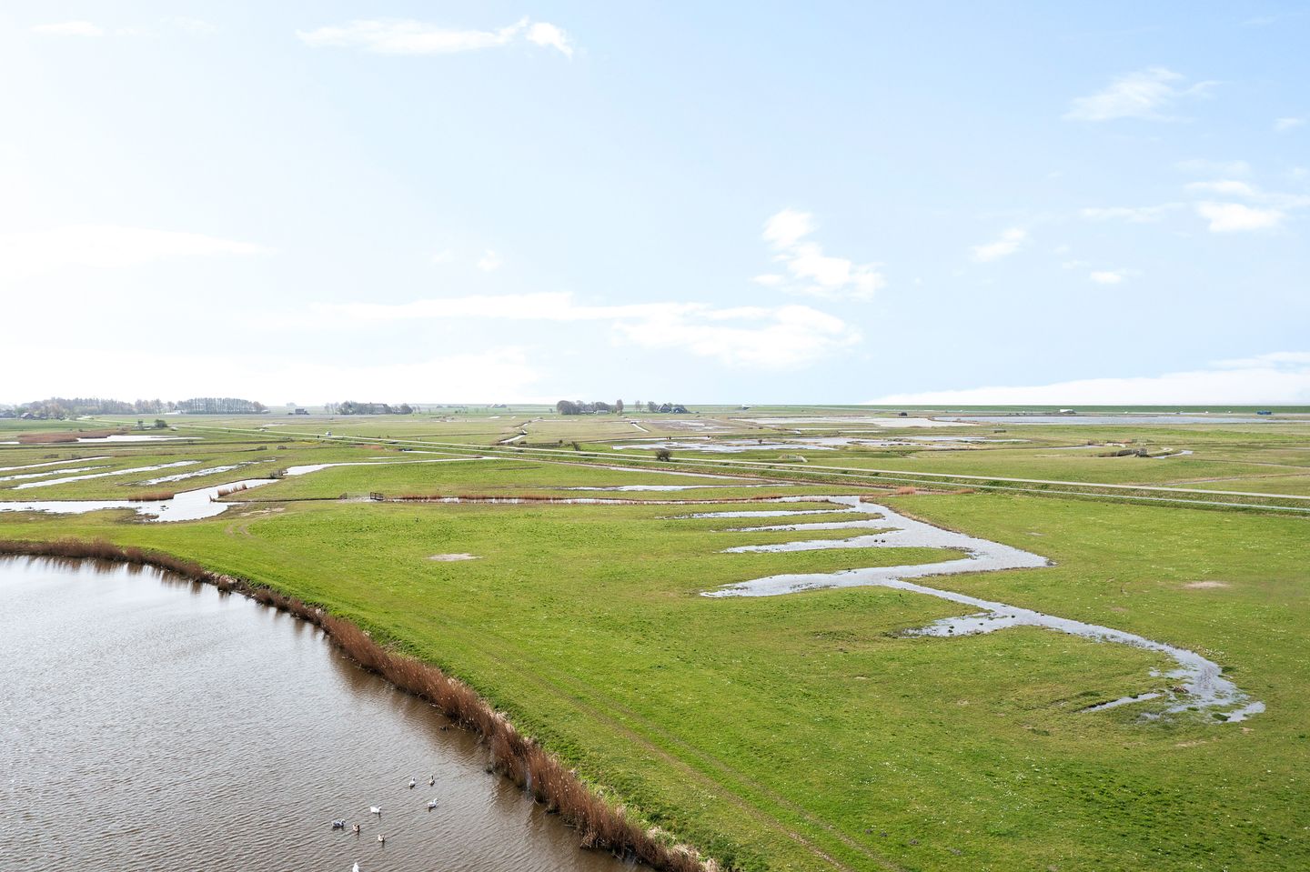 Foto 55 van De Watersnip 36