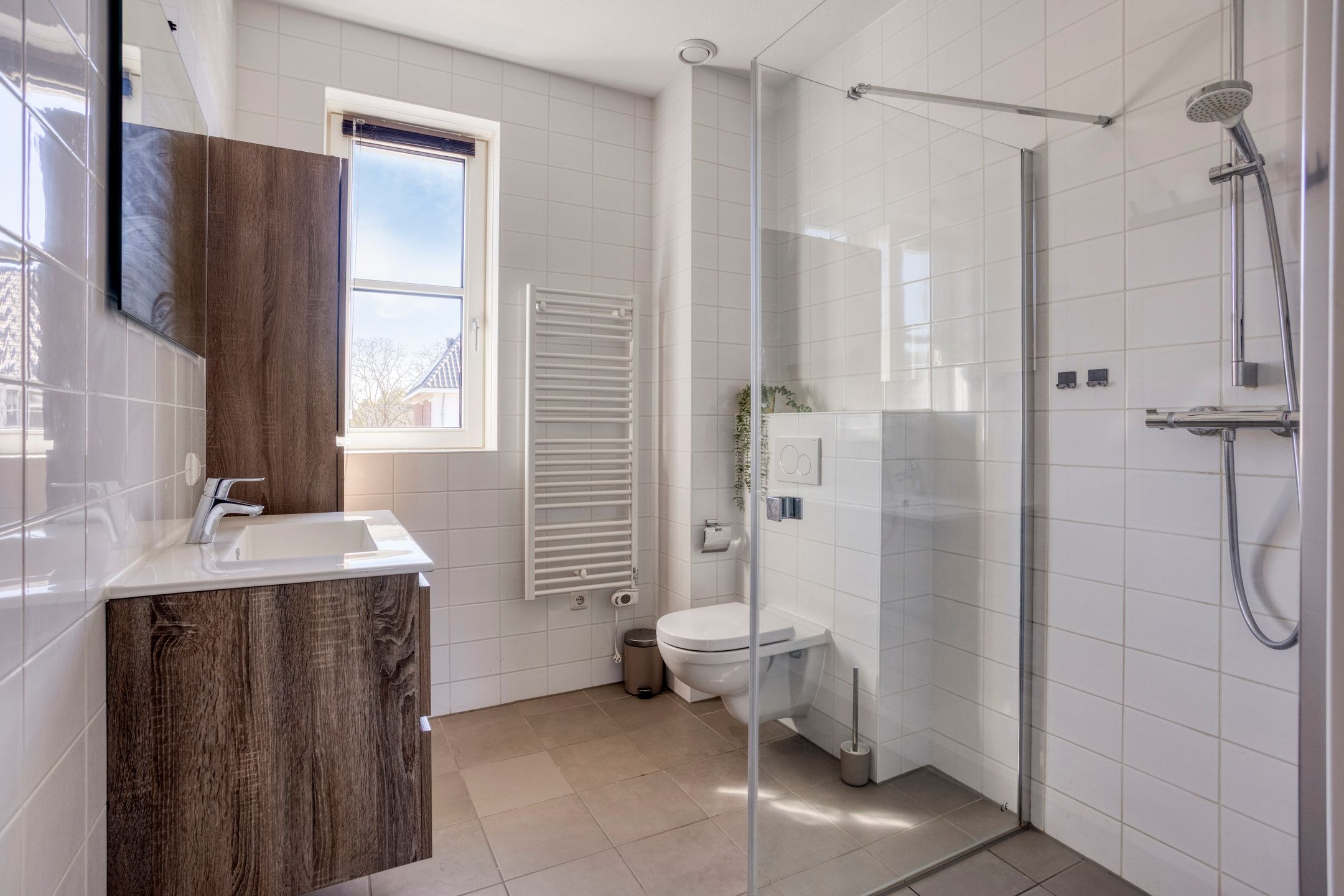 Foto 18 van Valeriaan 8