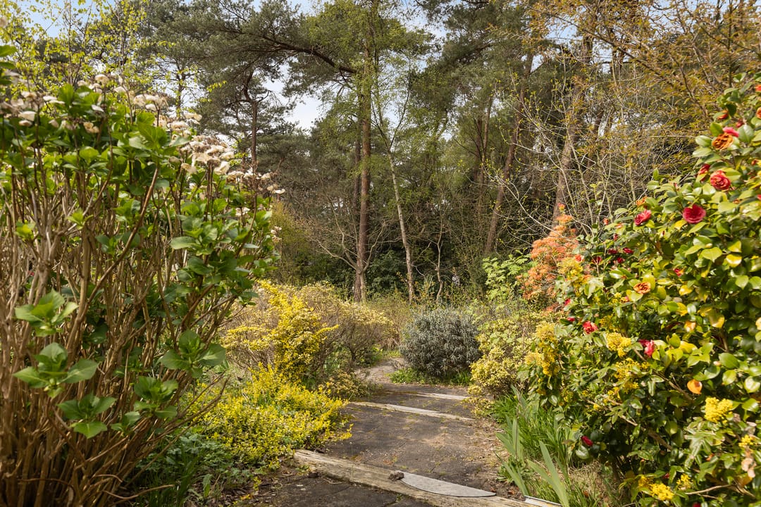 Foto 41 van Twentseweg 110