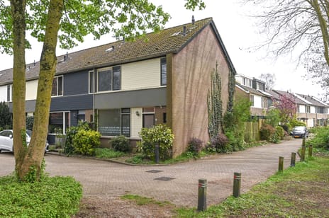 Dotterbloemlaan thumbnail