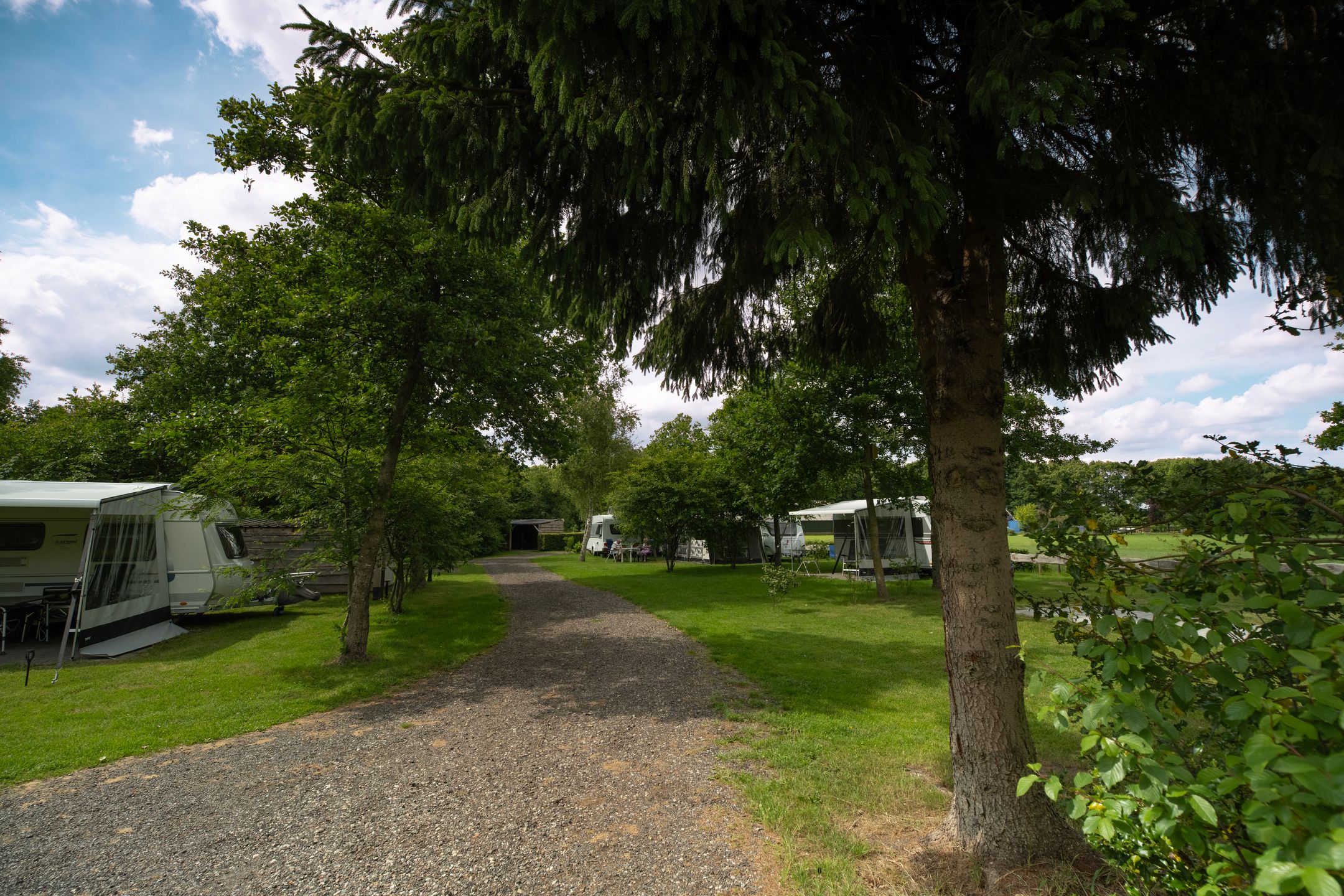 Unique Campsite with Residential Farmhouse in Drenthe Nature Reserve — 30