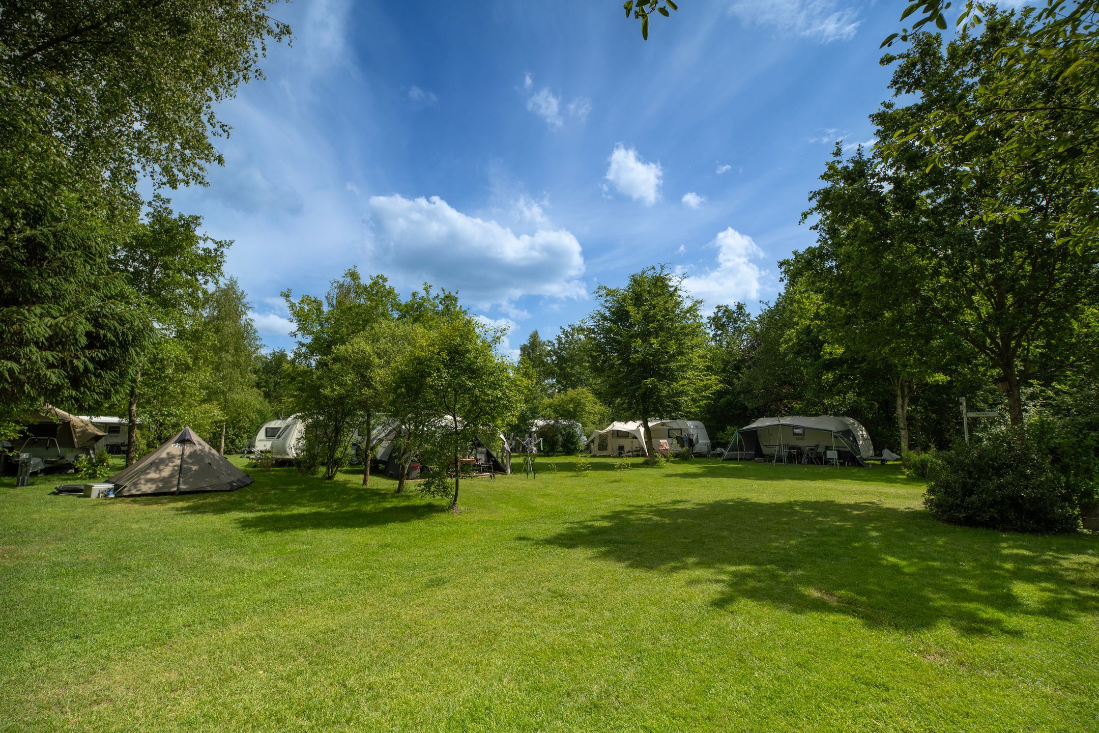 Unique Campsite with Residential Farmhouse in Drenthe Nature Reserve — 45