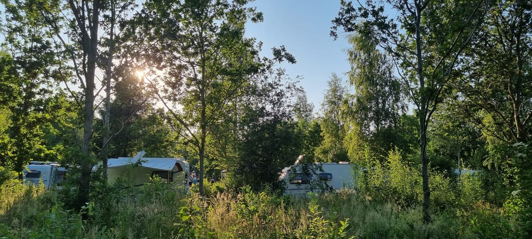 Unique Campsite with Residential Farmhouse in Drenthe Nature Reserve — 28