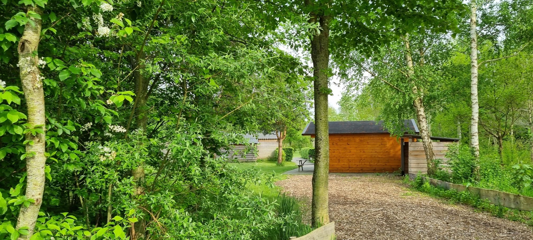 Unique Campsite with Residential Farmhouse in Drenthe Nature Reserve — 36