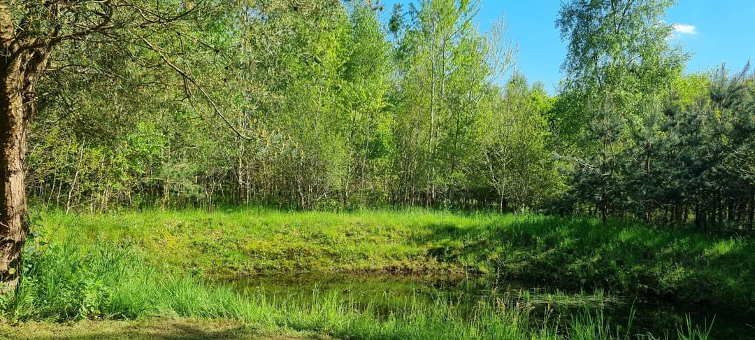 Unique Campsite with Residential Farmhouse in Drenthe Nature Reserve — 41