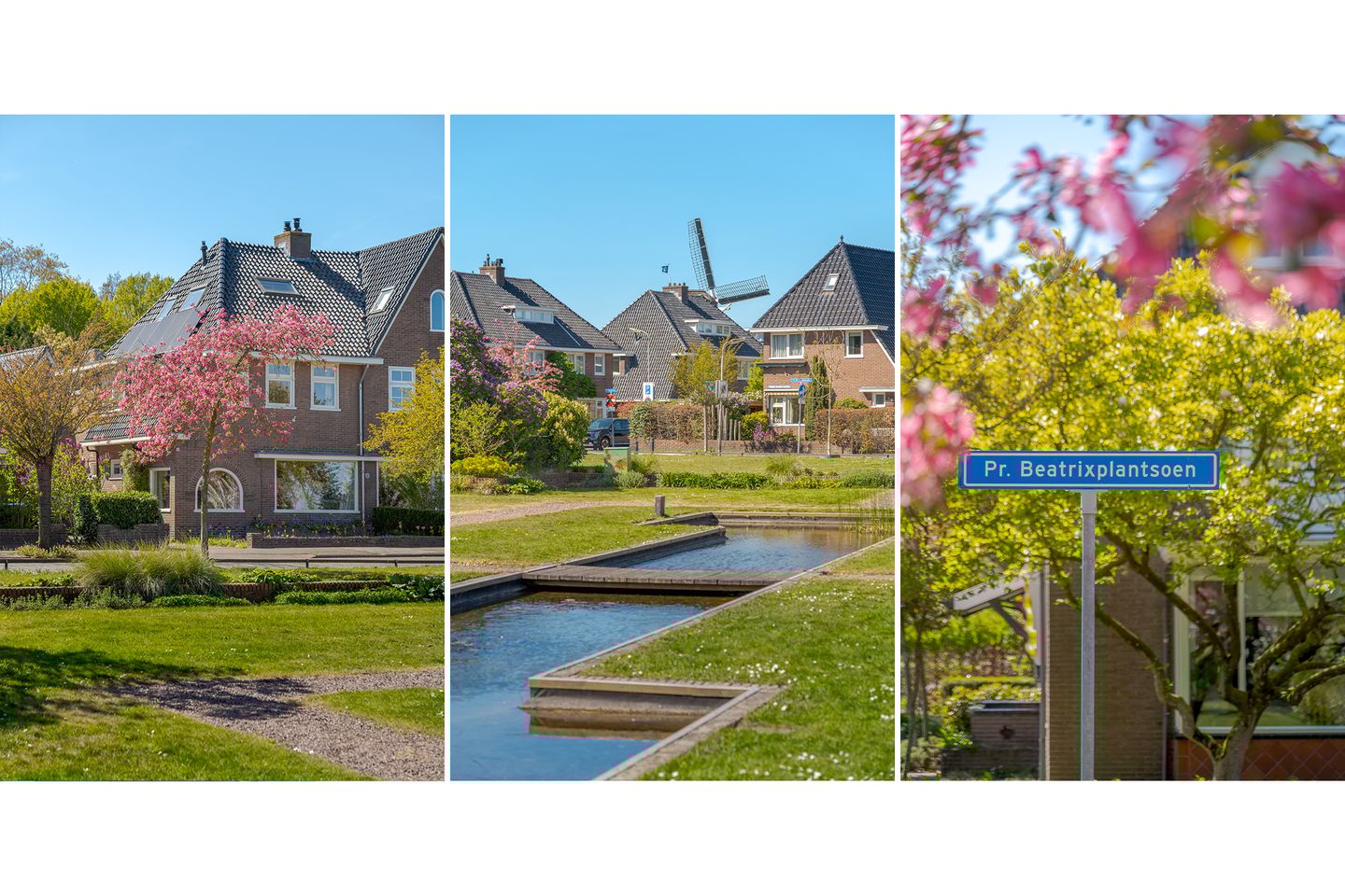 Foto 4 van Prinses Beatrixplantsoen 14