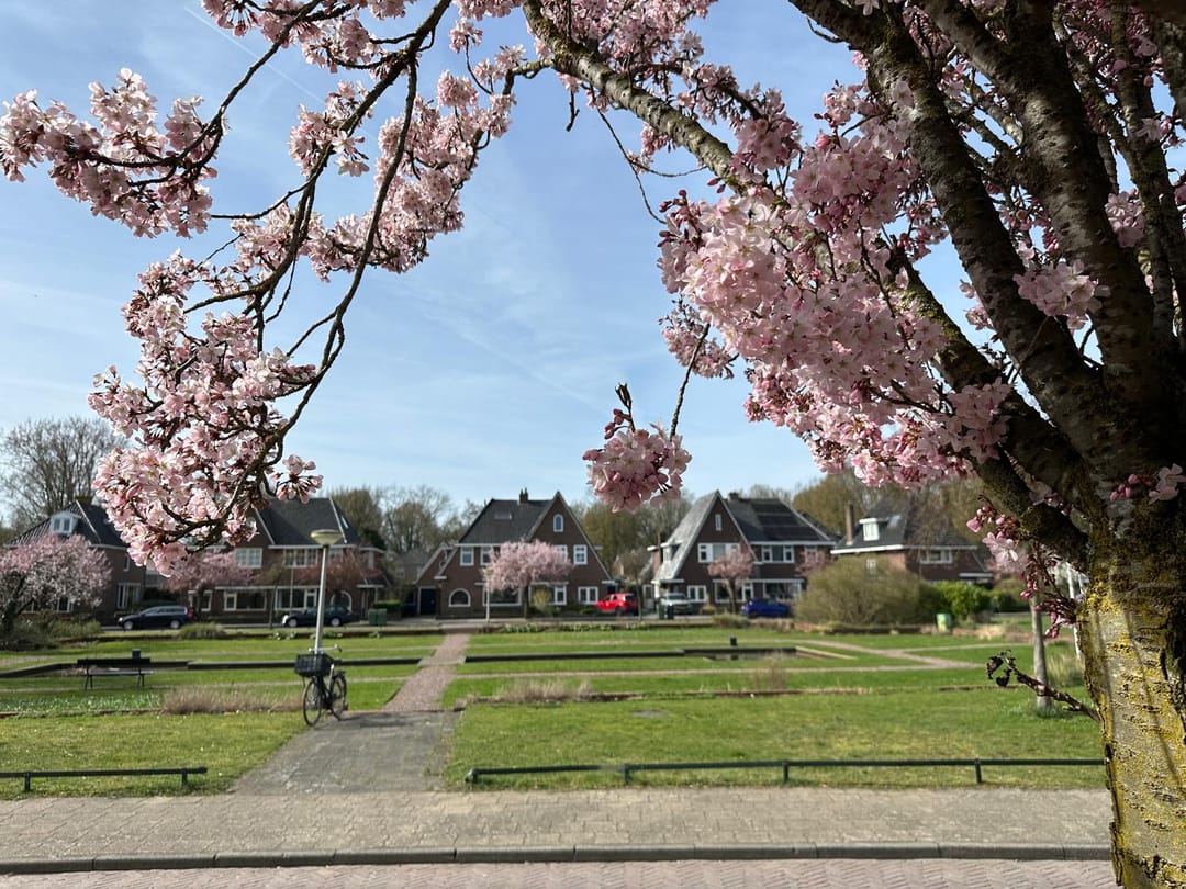 Foto 68 van Prinses Beatrixplantsoen 14