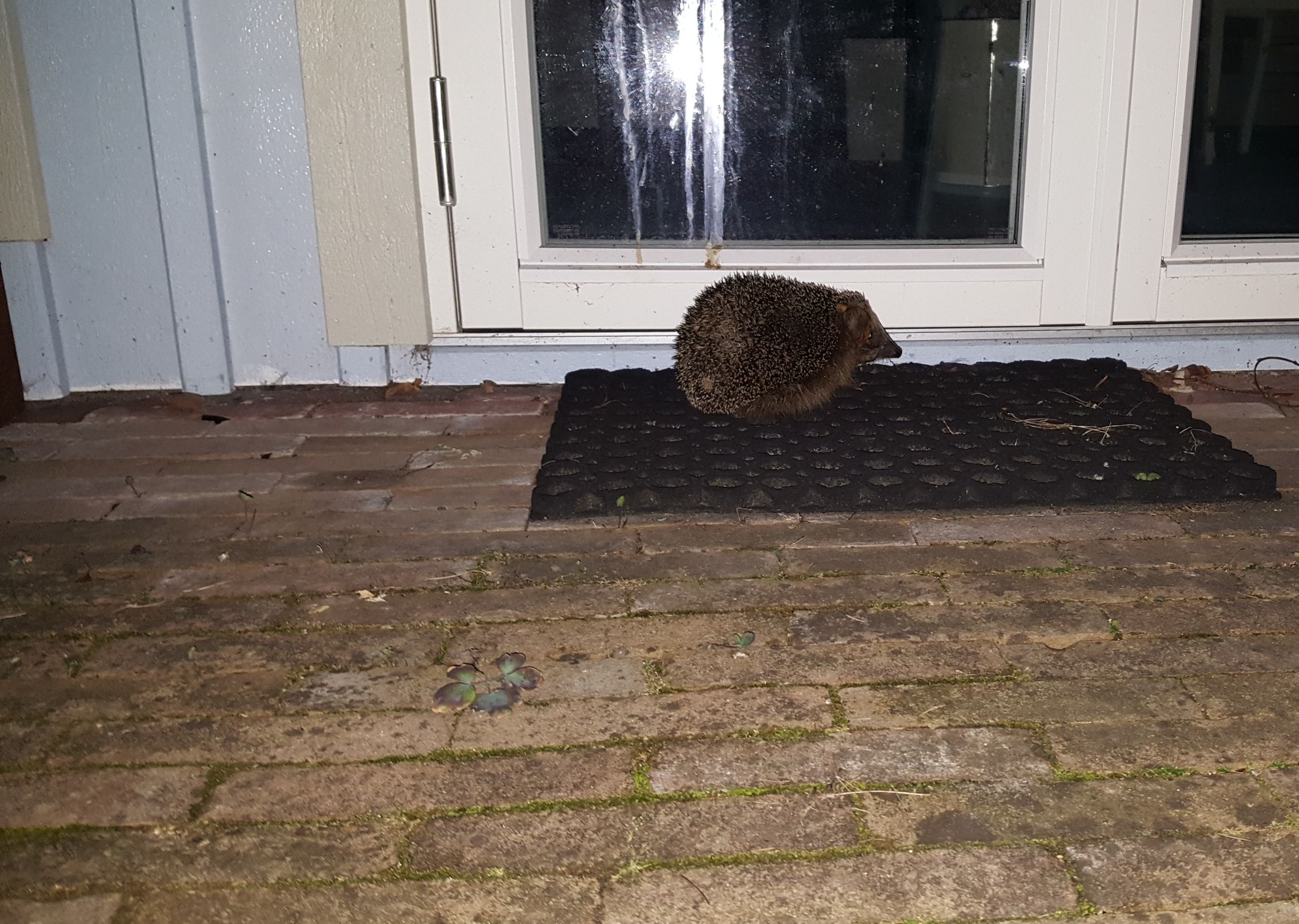 Foto 69 van Prinses Beatrixplantsoen 14